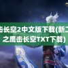 鹰击长空2中文版下载(新二战之鹰击长空TXT下载)