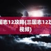 三国志12攻略(三国志12攻略视频)