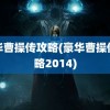 豪华曹操传攻略(豪华曹操传攻略2014)