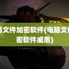 电脑文件加密软件(电脑文件加密软件威盾)