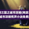 网游三国之城市攻略(网游三国之城市攻略有声小说免费版)