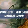 美丽邻居 山东一动物乐园熊瘦成狗奶牛皮包骨