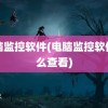 电脑监控软件(电脑监控软件怎么查看)