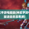 神武手游电脑版(神武手游电脑版进去总是黑屏)