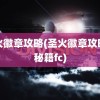 圣火徽章攻略(圣火徽章攻略和秘籍fc)