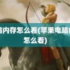 电脑内存怎么看(苹果电脑内存怎么看)