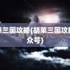 胡莱三国攻略(胡莱三国攻略公众号)