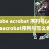 adobe acrobat 序列号(adobeacrobat序列号怎么看)