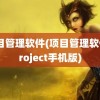 项目管理软件(项目管理软件project手机版)