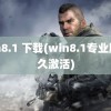 win8.1 下载(win8.1专业版永久激活)