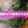 蜜臂AV 小杨哥三代还宗