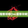 魔兽攻略(toc魔兽攻略)