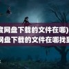 (百度网盘下载的文件在哪)百度网盘下载的文件在哪找到