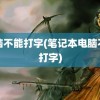 电脑不能打字(笔记本电脑不能打字)