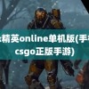 反恐精英online单机版(手机版csgo正版手游)