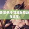 浪潮财务软件(浪潮财务软件操作流程)