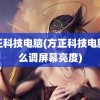 方正科技电脑(方正科技电脑怎么调屏幕亮度)