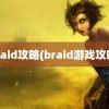 braid攻略(braid游戏攻略)