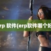 erp 软件(erp软件哪个好)