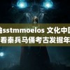 黄油sstmmoeios 文化中国行看秦兵马俑考古发掘年