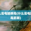 什么是电脑病毒(什么是电脑病毒武器)