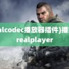 (realcodec播放器插件)播放器realplayer