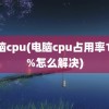 电脑cpu(电脑cpu占用率100%怎么解决)