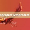 (vmprotect)vmprotect 3.6