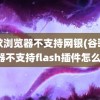 谷歌浏览器不支持网银(谷歌浏览器不支持flash插件怎么办)