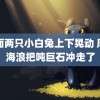 前面两只小白兔上下晃动 摩羯海浪把吨巨石冲走了