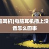 (电脑耳机)电脑耳机插上没有声音怎么回事